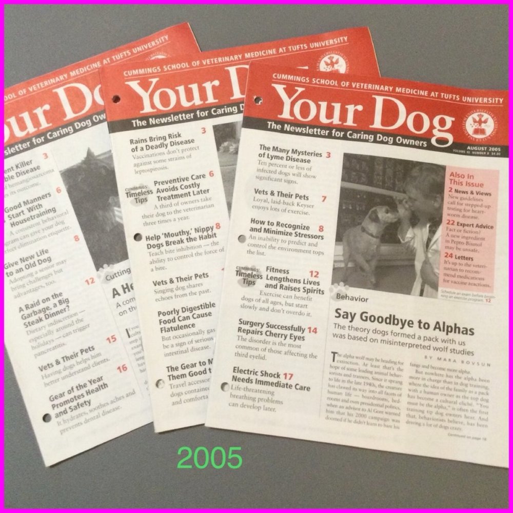 19 Your Dog Periodicals